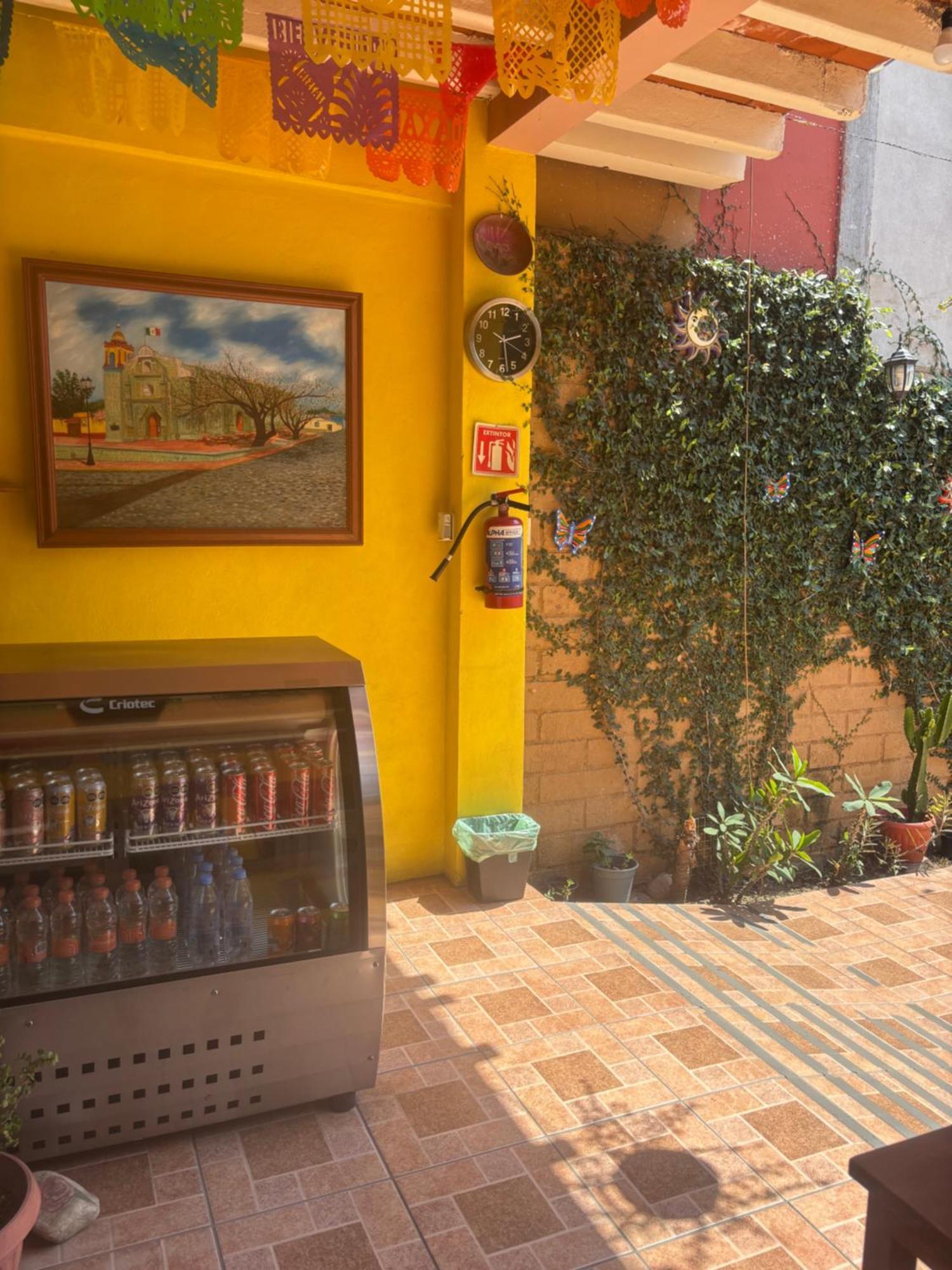 Hotel Posada "Mi Rosita" Oaxaca Exterior photo